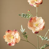 Rose Four Heads Poppy Flower