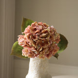 Rose Hydrangea Flower