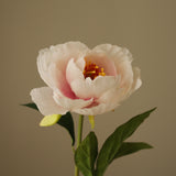 Rose One Head Peony Flower