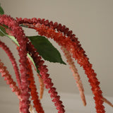 Rose Three Forks Amaranthus Flower