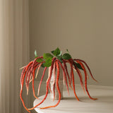 Rose Three Forks Amaranthus Flower