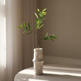 Green Ruscus Leaves