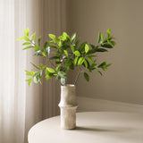 Green Ruscus Leaves