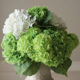 Shades of Green