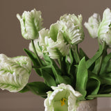 White Small Parrot Tulip Bouquet