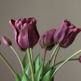 Purple Triumph Tulip Bouquet