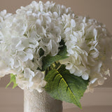 White Hydrangea Flower