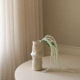 White Amaranthus Flower