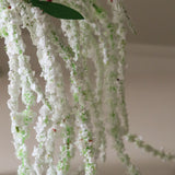 White Amaranthus Flower