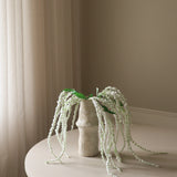 White Amaranthus Flower