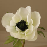 White Anemone Flower