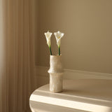 White Calla Lily Flower