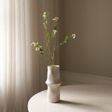 White Chamomile Daisy Flowers