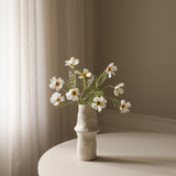 White Cosmo Daisy Flower