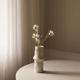 White Cosmo Daisy Flower