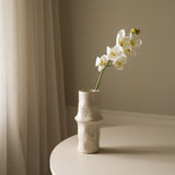 White Cymbidium Orchid Flower