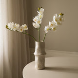 White Cymbidium Orchid Flower