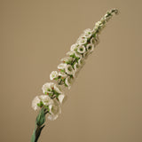 White Foxtail Flower