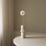 White Gerbera Daisy Flower