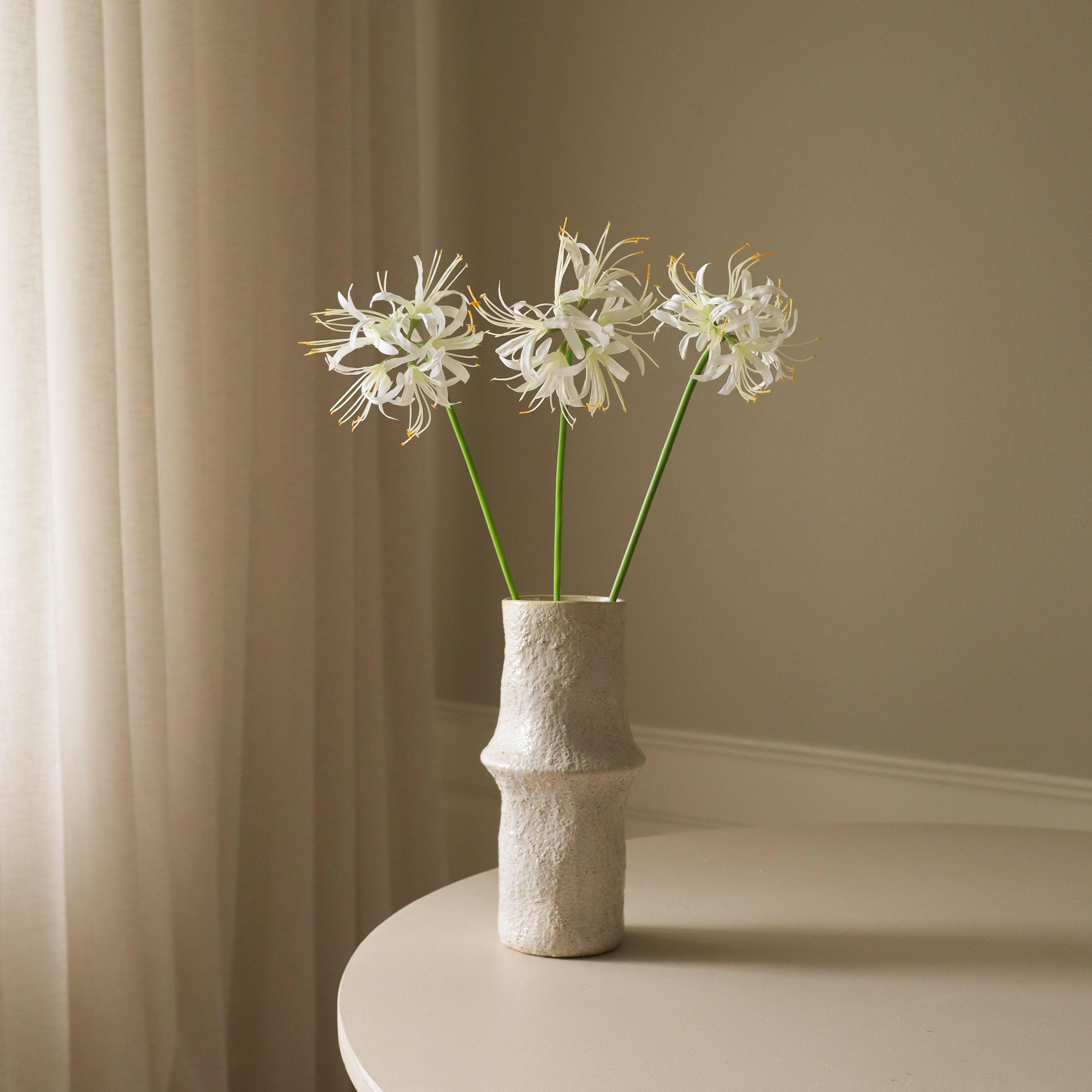 white spider lily bouquet White Higanbana "Spider Lilies" Amaryllis Flower – Botané