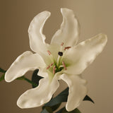 White Large Lily Flower