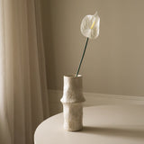 White Small Anthurium Flower