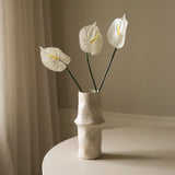 White Small Anthurium Flower