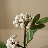 White Small Snowberry Branch