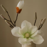 White Southern Magnolia Branch