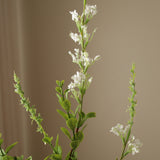 White Wild Flower