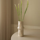 White Actaea Racemosa "Fairy Candle"