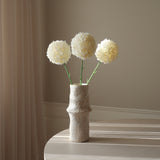 White Allium Giganteum