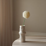 White Allium Giganteum