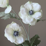 White Anemone Flower