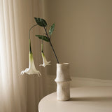 White Large Datura Stramonium Flower