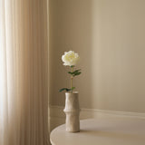 White Large Peony Flower