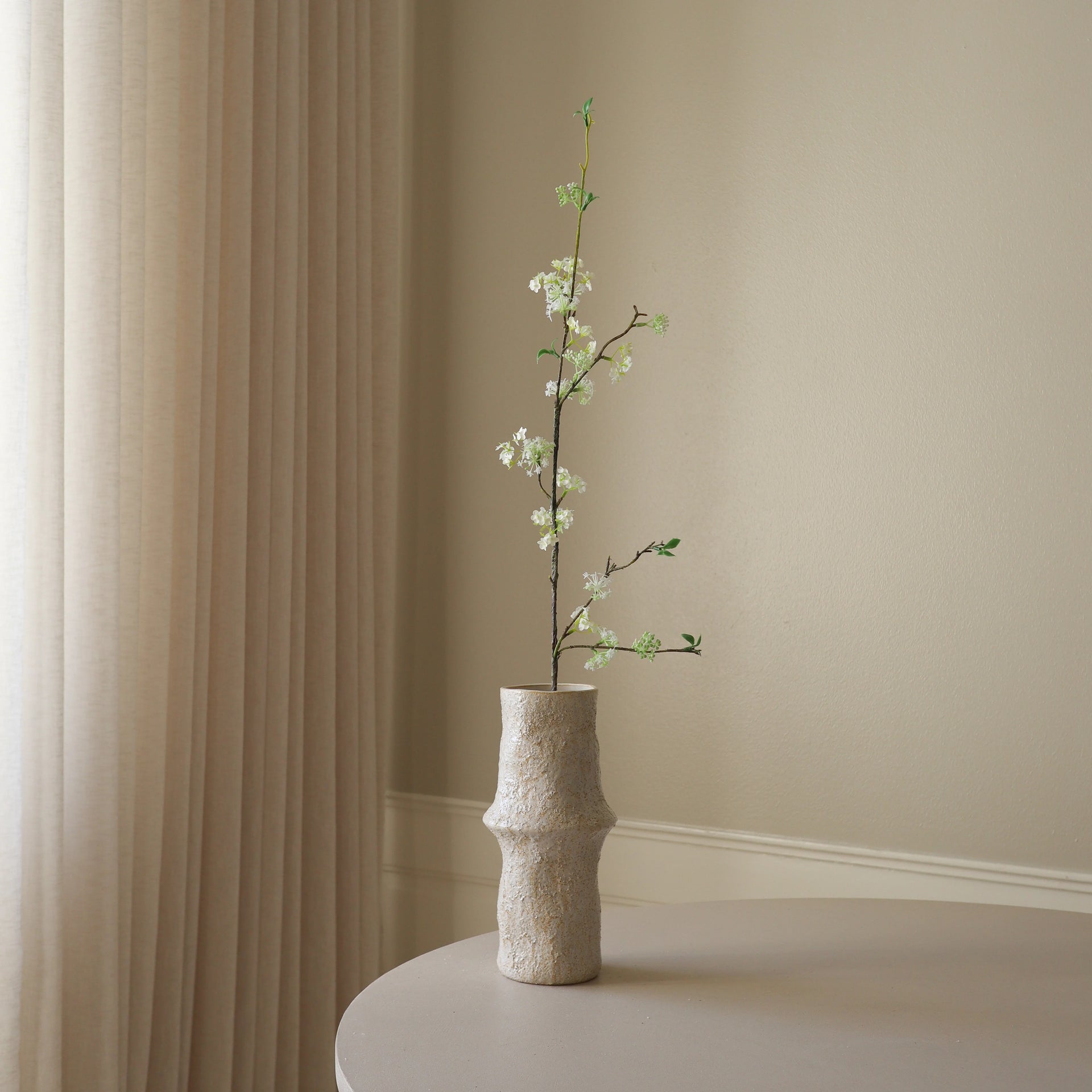 snow willow indoor plant Shop Snow Willow Branch from Botané