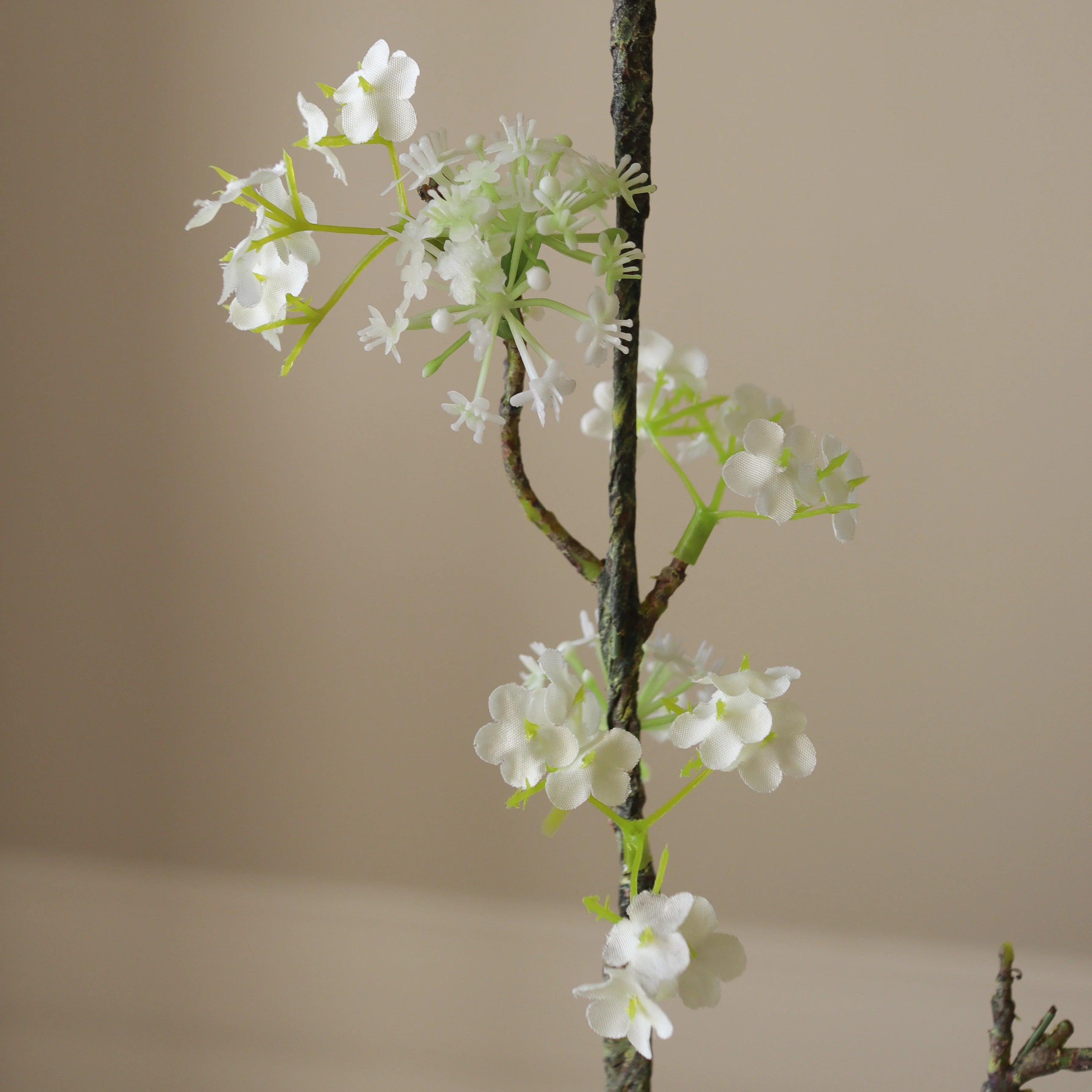 snow willow indoor plant Shop Snow Willow Branch from Botané