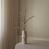 White Winterberry Branch