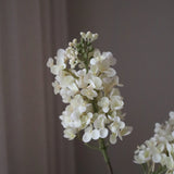 White Lilac Flower