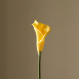 Yellow Calla Lily Flower