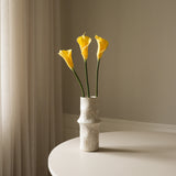 Yellow Calla Lily Flower