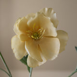 Yellow Four Heads Poppy Flower