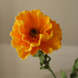 Yellow Large Poppy Flower