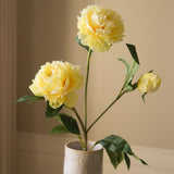 Yellow Peony Flower