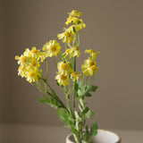 Yellow Small Daisy Flowers