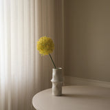 Yellow Allium Gladiator Flower