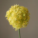 Yellow Allium Gladiator Flower