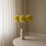 Yellow Allium Gladiator Flower