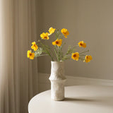 Yellow Cosmo Daisy Flower